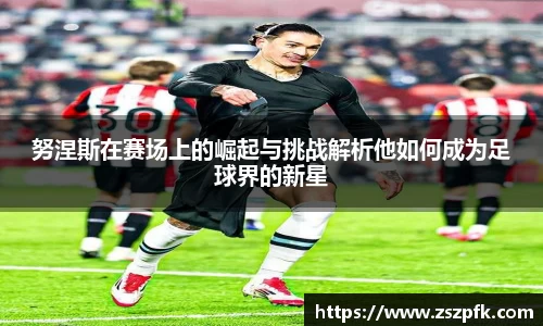努涅斯在赛场上的崛起与挑战解析他如何成为足球界的新星